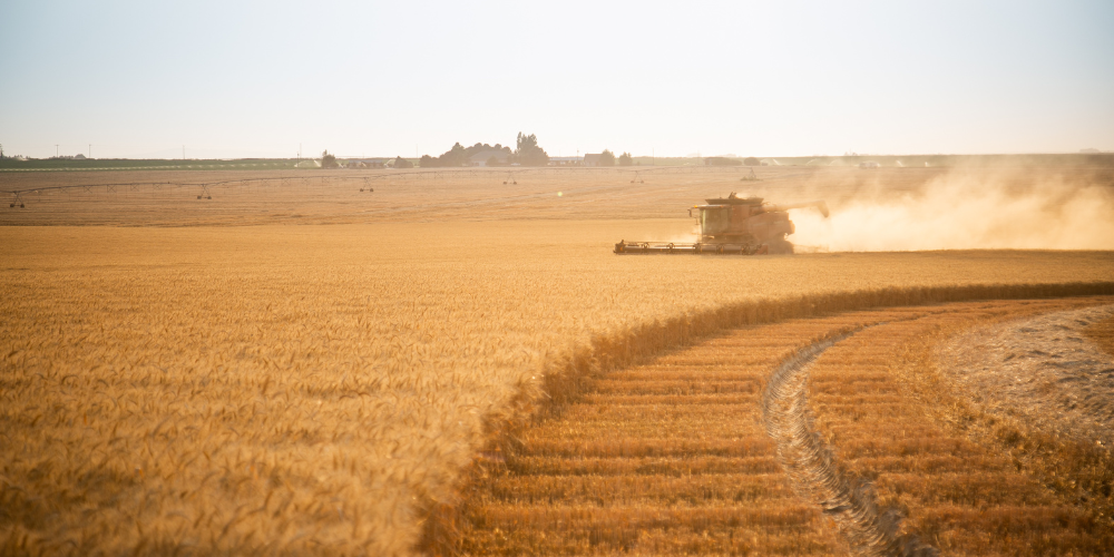 History of Harvest to Home